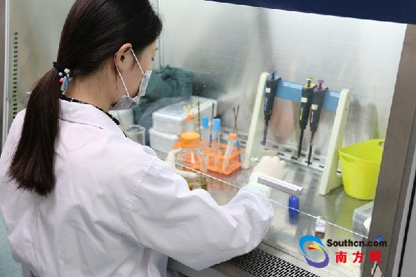 重庆精准生物技术的研发人员正在工作(记者/王泽琦 摄)