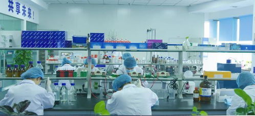科技创新 这家重庆企业自主开发的生物医药技术有望开创肿瘤早诊新局面